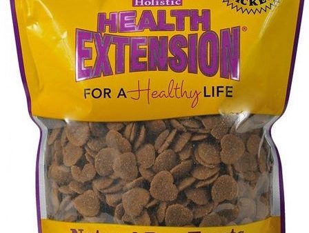 HEALTH EXTENSION - Heart Shaped Dog Treats Small - 1Lbs. Bag For Cheap