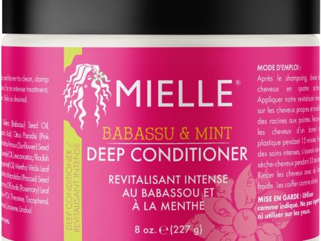 Mielle Babassu & Mint Deep Conditioner 227g Cheap