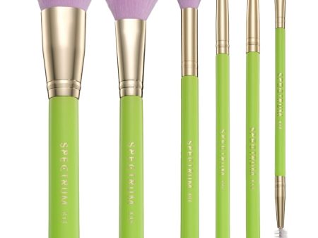 Spectrum Collections Margarita 6 Piece Makeup Brush Set Hot on Sale