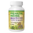 Big Friends Healthy Mom Prenatal Multi For Cheap