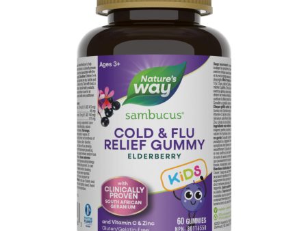 Sambucus Cold & Flu Relief Kids Gummies Hot on Sale