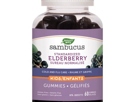 Sambucus Kids Gummies For Discount