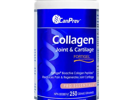 Collagen Joint & Cartilage Powder Online Hot Sale