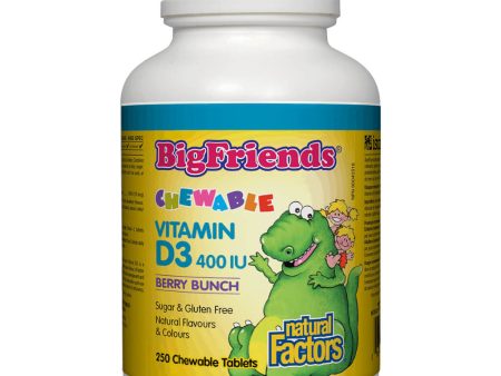 Big Friends Chewable Vitamin D3 400 IU (Berry Bunch Flavour) Discount