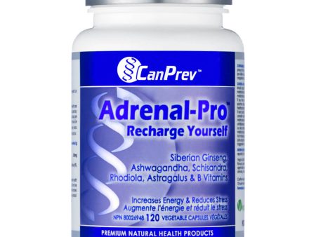 Adrenal-Pro Recharge Yourself Online now