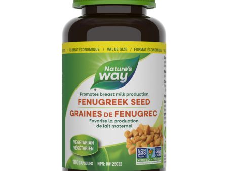 Fenugreek Seed Supply