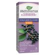 Kids Sambucus Cold and Flu Care Syrup Online now