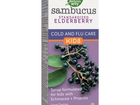 Kids Sambucus Cold and Flu Care Syrup Online now