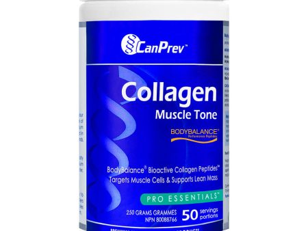 Collagen Muscle Tone Powder Hot on Sale