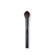 Blusher Brush Fashion