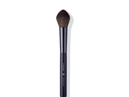 Blusher Brush Fashion