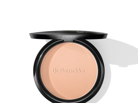 Bronzing Powder Online now