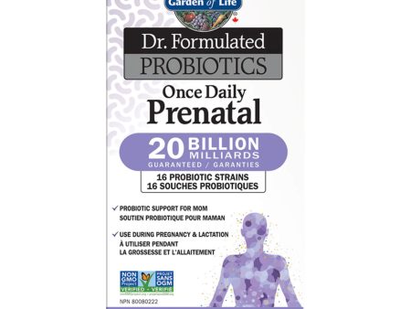 Dr. Formulated Probiotics Once Daily Prenatal 20 Billion CFU Shelf Stable Hot on Sale